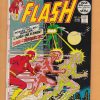 The Flash #216 - Image 2