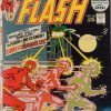 The Flash #216